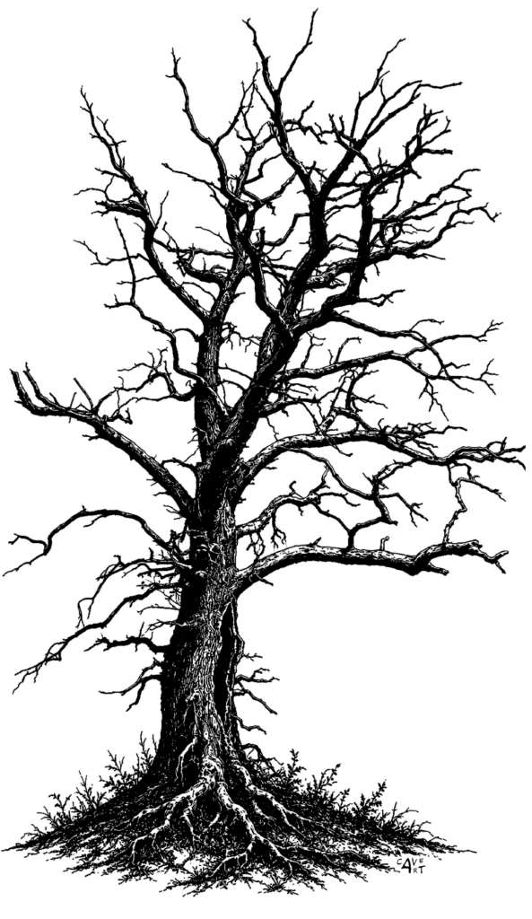 Alte Eiche